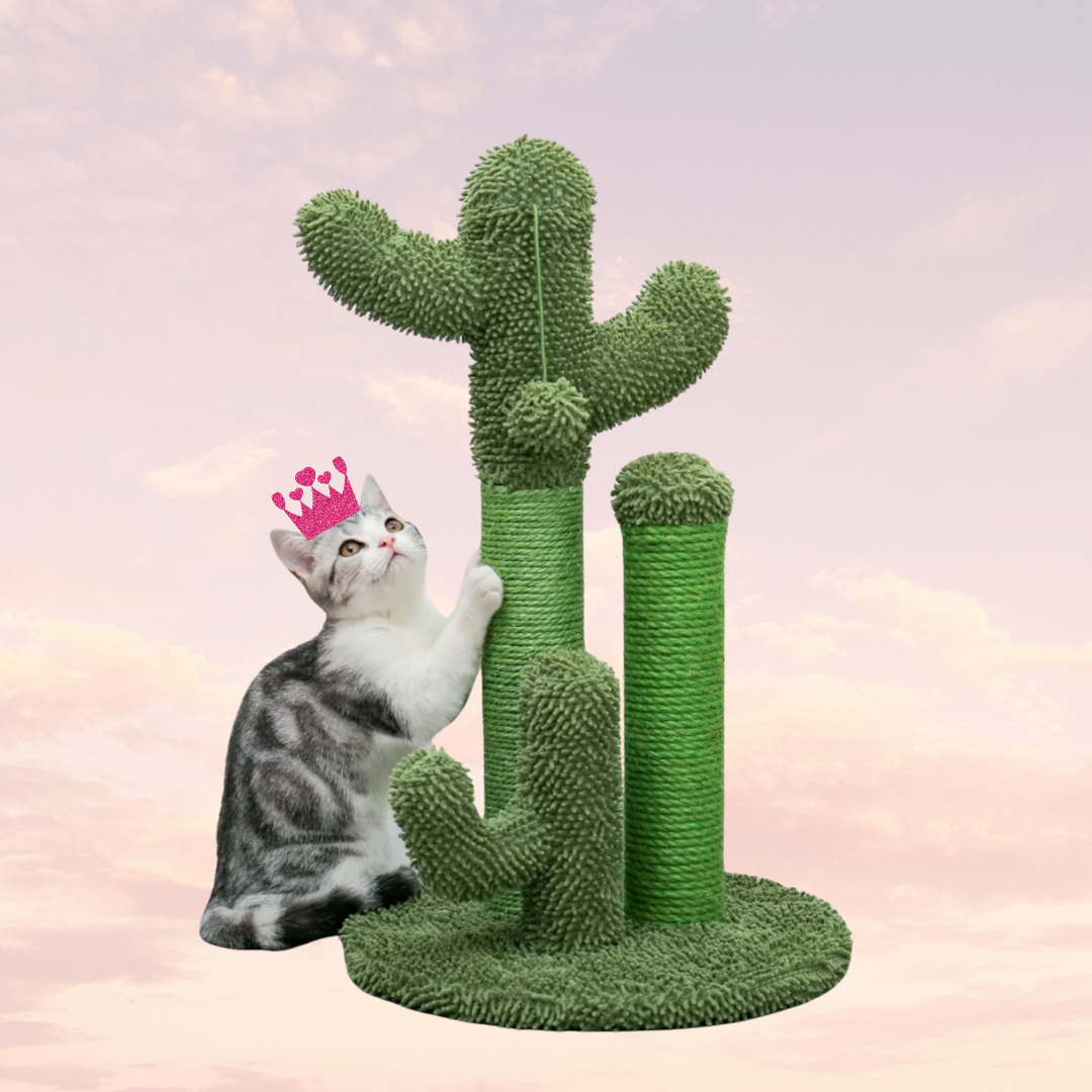 Cactus Scratchin'