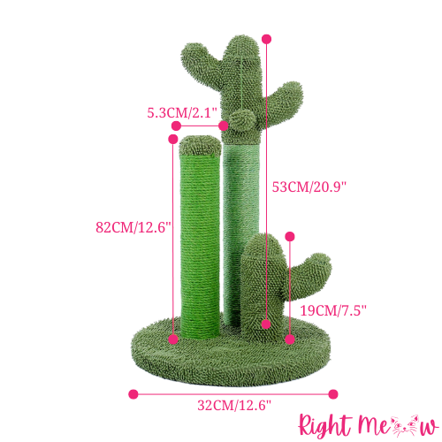 Cactus Scratchin'